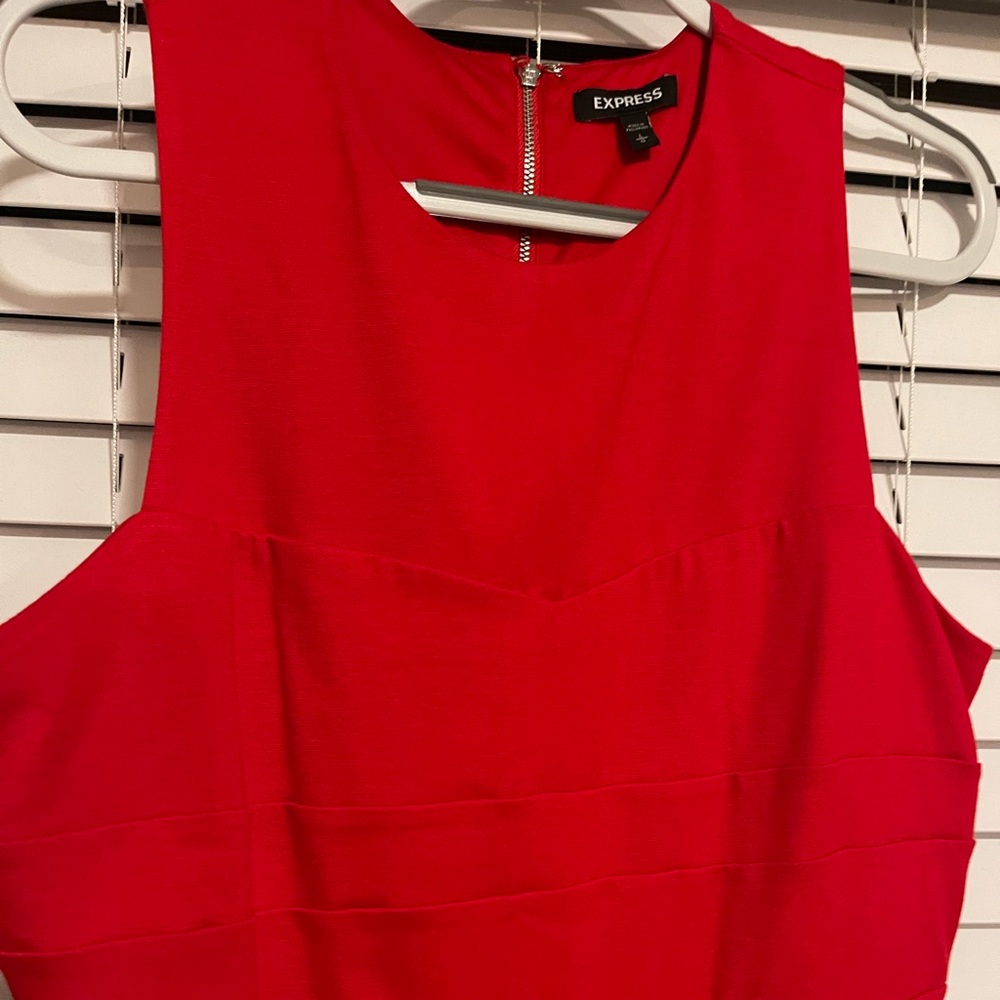 Express Dress - Picture 3 of 9